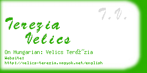 terezia velics business card